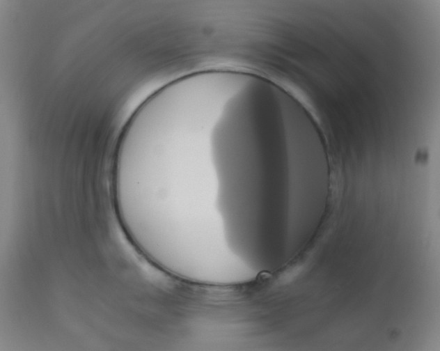 X0000110731007200907022106