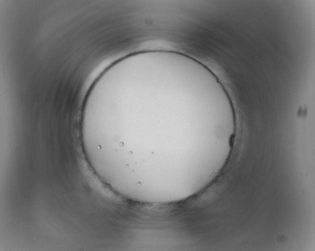 X0000110731008200907022106