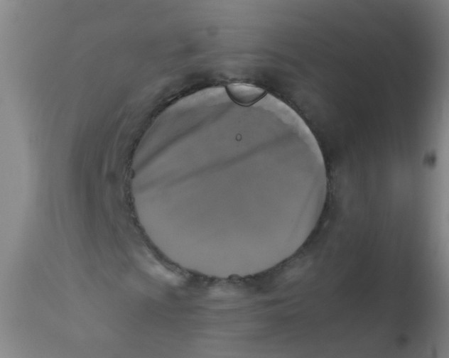 X0000110731009200907022105