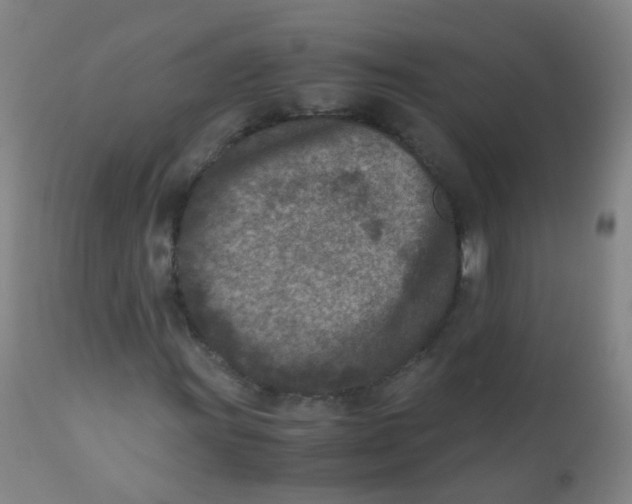 X0000110731011200907022105