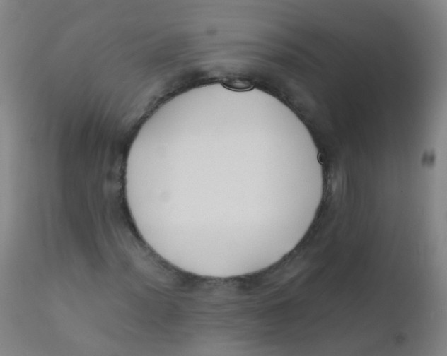 X0000110731012200907022105