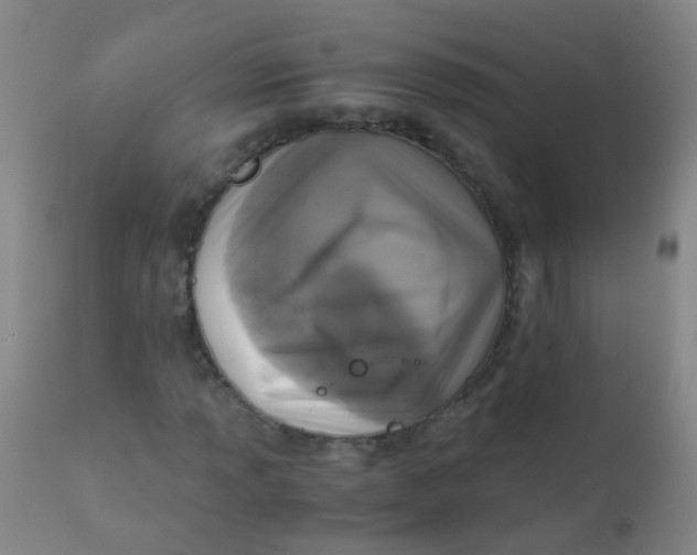 X0000110731013200907022105