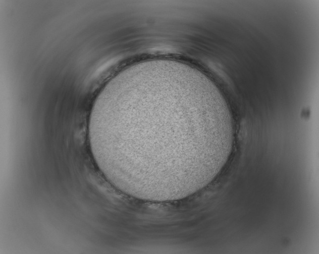 X0000110731015200907022105