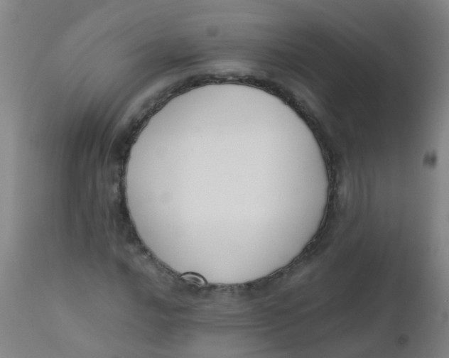 X0000110731016200907022105