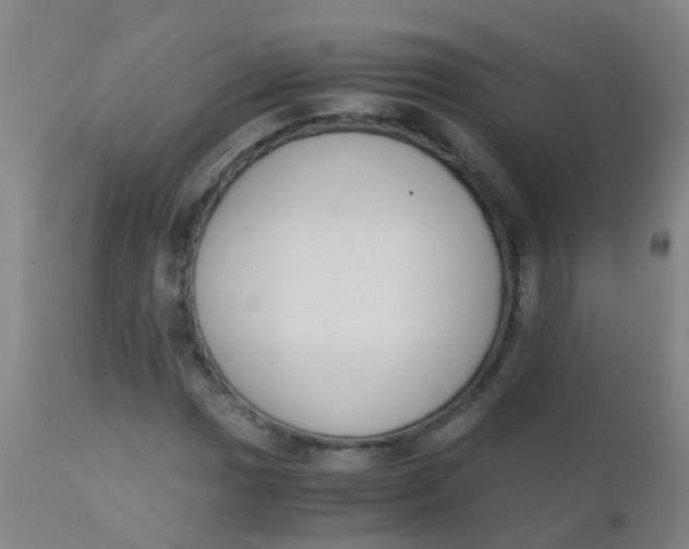 X0000110731017200907022105