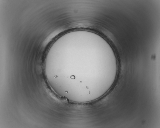 X0000110731018200907022105