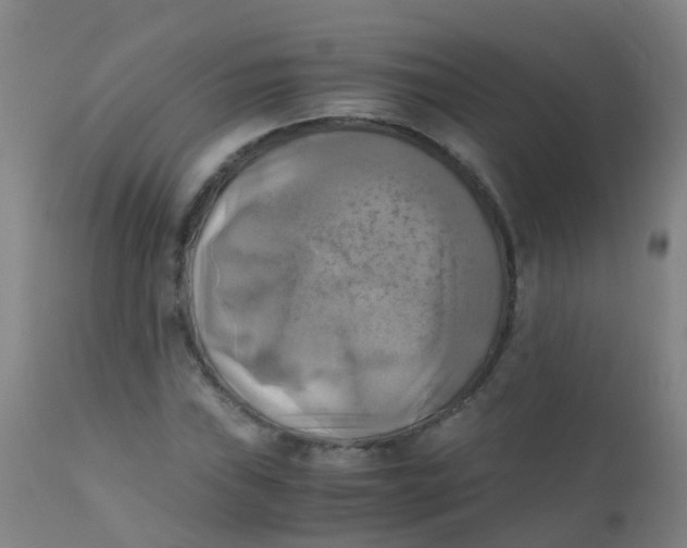 X0000110731019200907022105