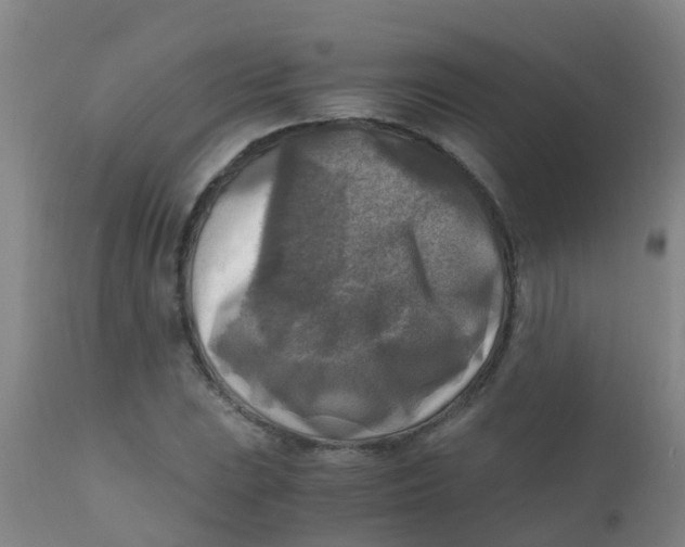 X0000110731023200907022105