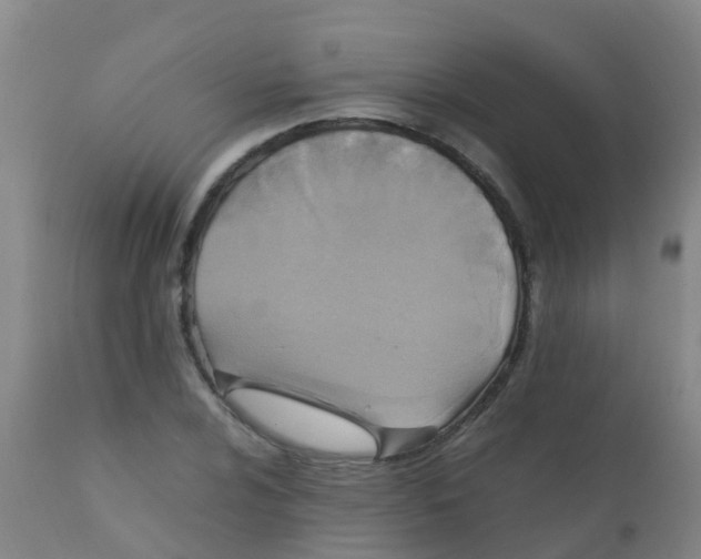 X0000110731024200907022105