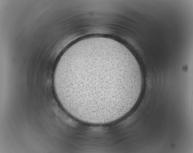 X0000110731025200907022105