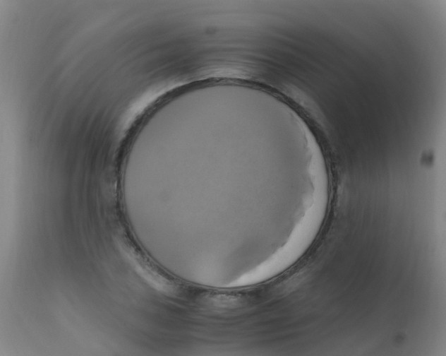 X0000110731027200907022105