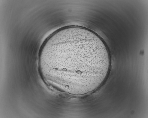 X0000110731028200907022105