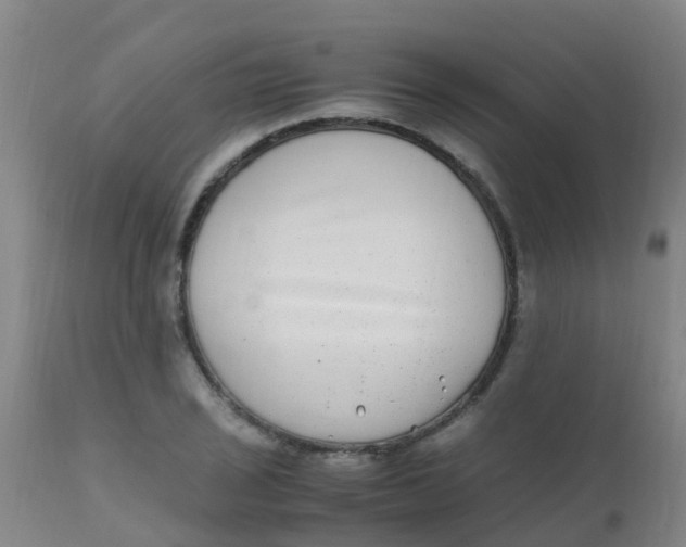 X0000110731029200907022105