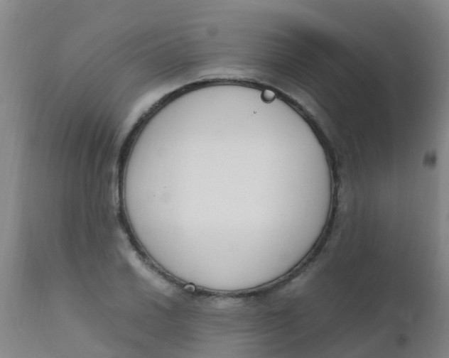 X0000110731030200907022105