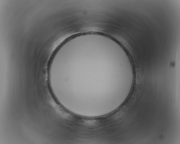 X0000110731031200907022105