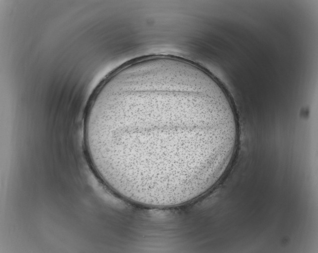 X0000110731032200907022105