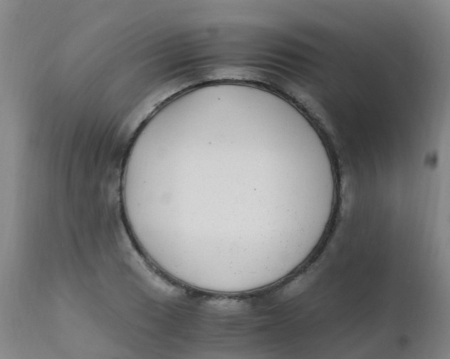 X0000110731033200907022105