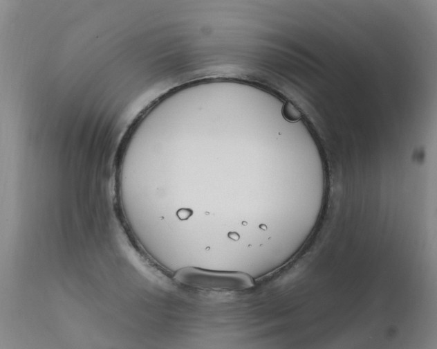 X0000110731034200907022105