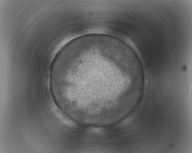 X0000110731035200907022105