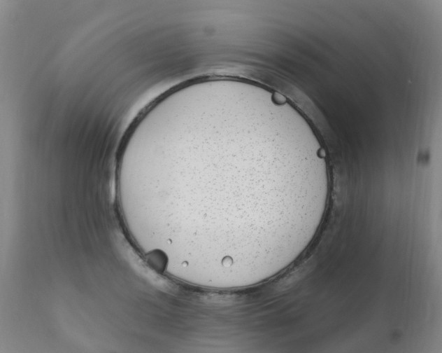 X0000110731036200907022105