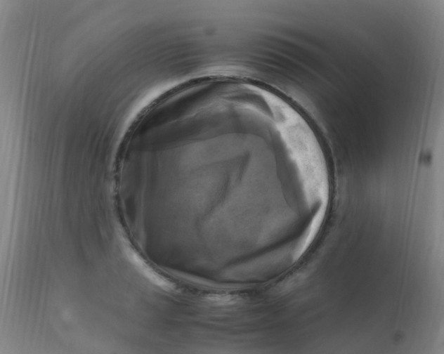 X0000110731037200907022105