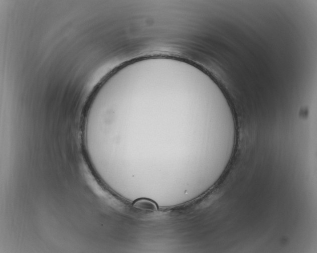 X0000110731038200907022105