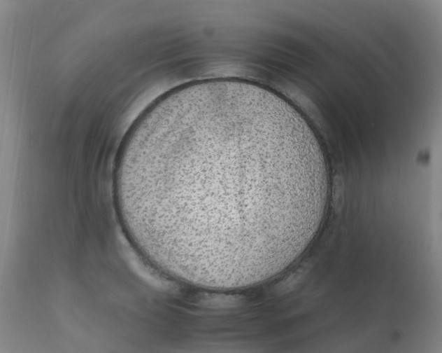 X0000110731039200907022105