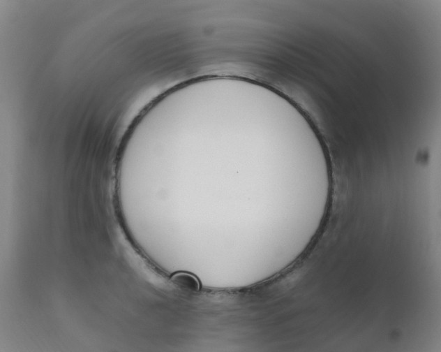 X0000110731040200907022105