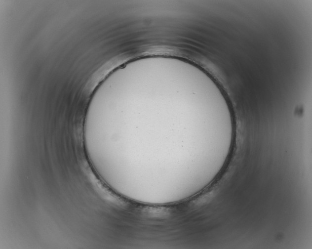 X0000110731041200907022105