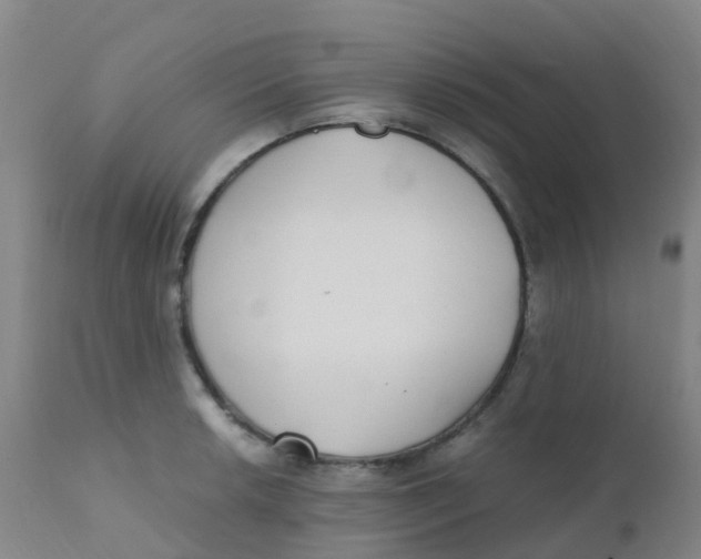 X0000110731042200907022105