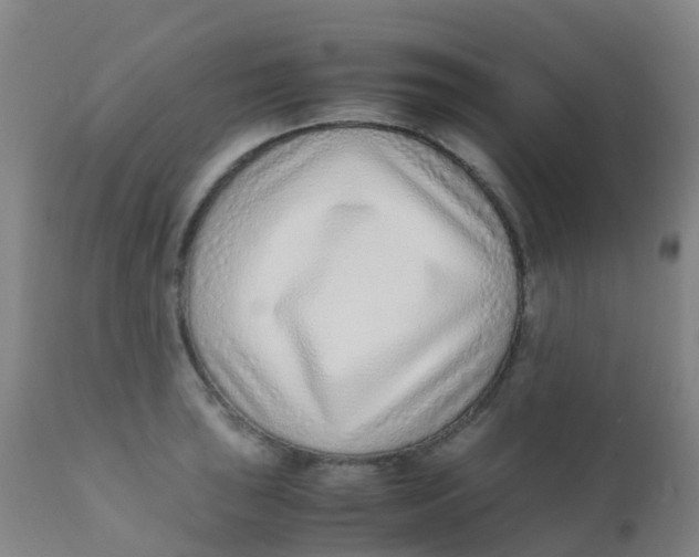 X0000110731043200907022105