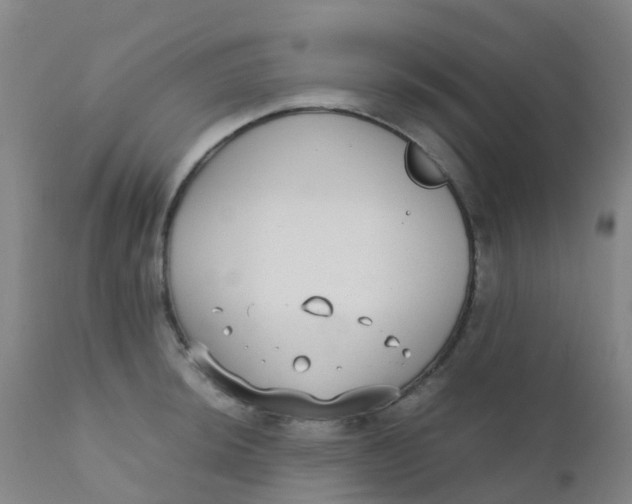 X0000110731044200907022105