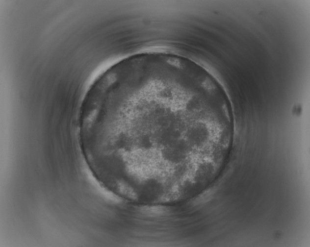 X0000110731045200907022105