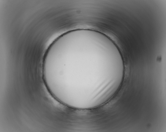 X0000110731046200907022105