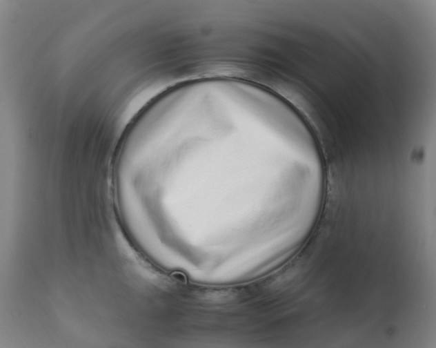 X0000110731047200907022105