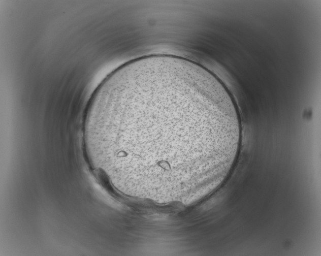 X0000110731048200907022105