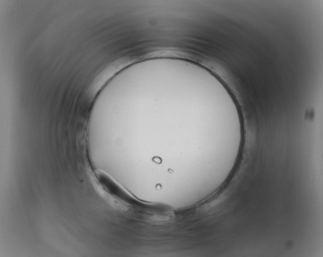 X0000110731049200907022105