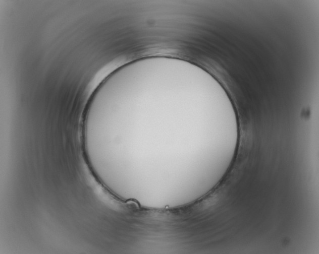 X0000110731050200907022105