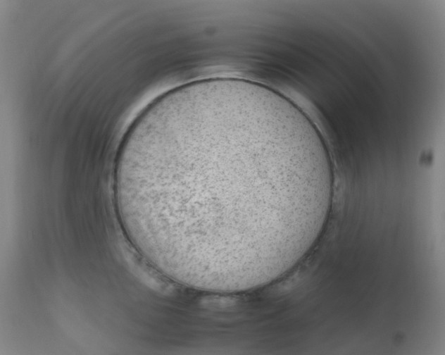 X0000110731051200907022105