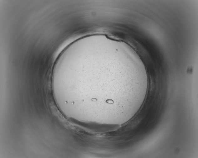 X0000110731052200907022105