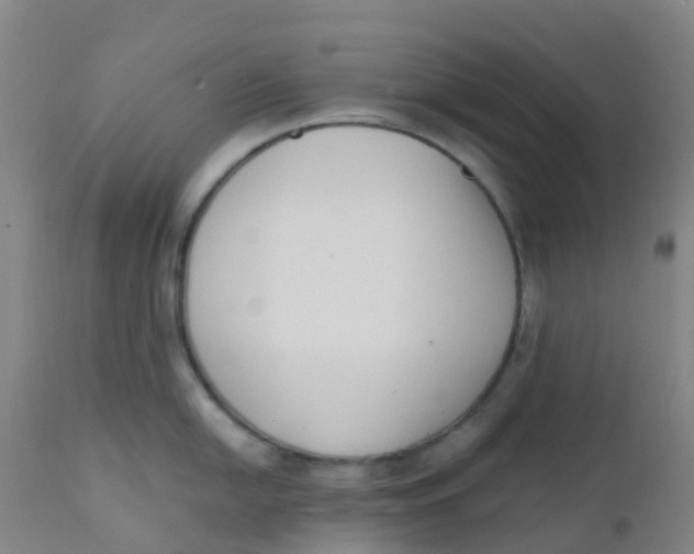 X0000110731054200907022105