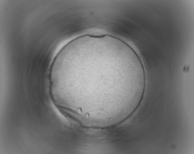 X0000110731056200907022106