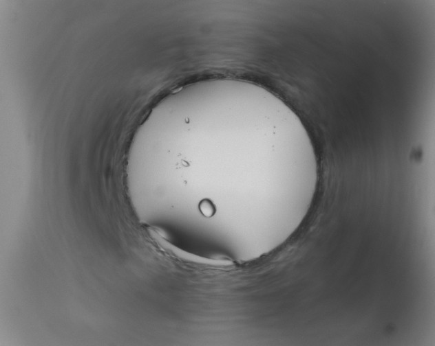 X0000110731057200907022105