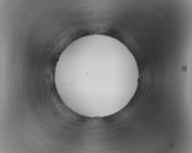 X0000110731058200907022105