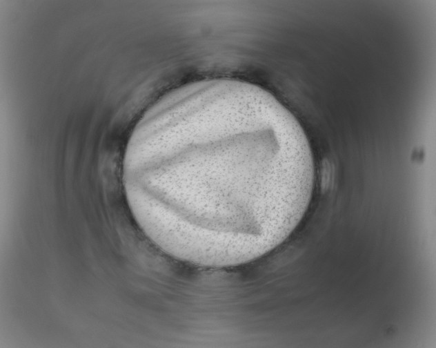 X0000110731059200907022105