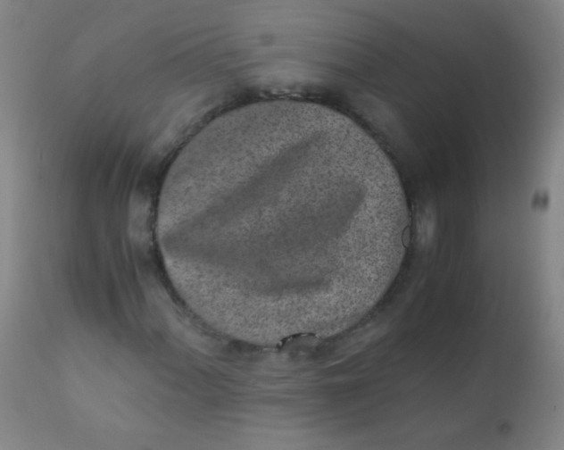 X0000110731060200907022105