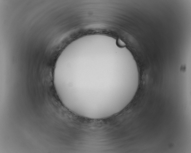 X0000110731062200907022105