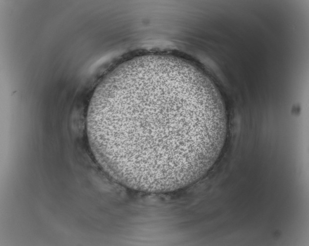 X0000110731063200907022105