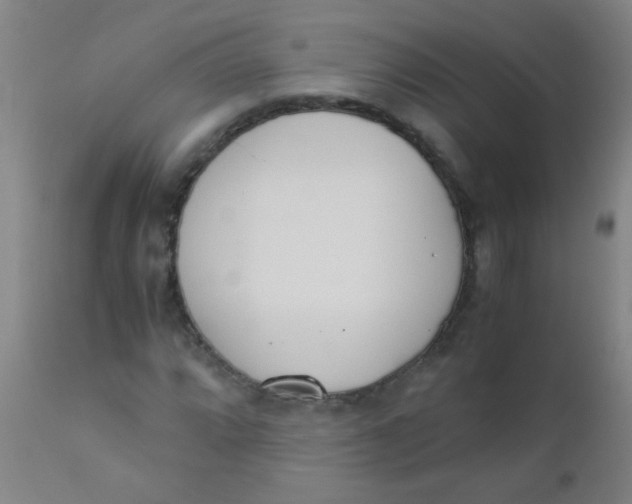 X0000110731064200907022105