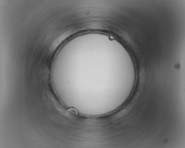 X0000110731065200907022105